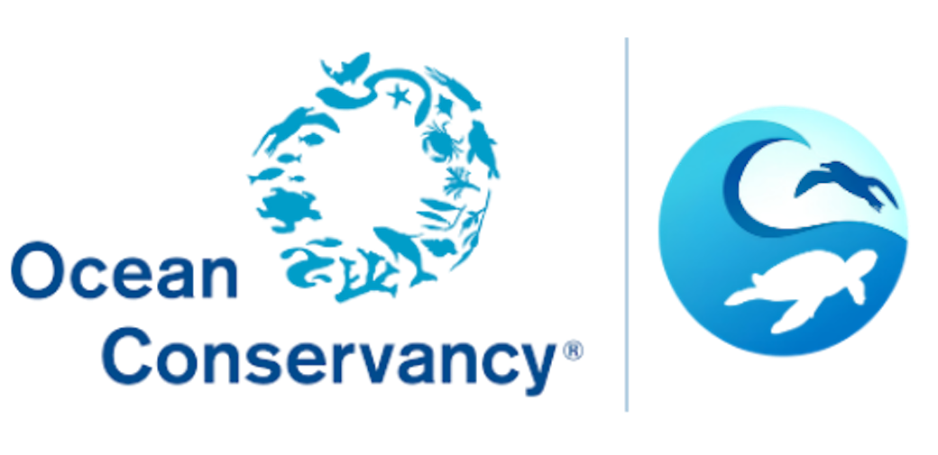 Clean Swell Logo